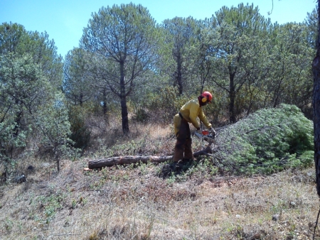 Obra servicio Consultoría de Ingeniería