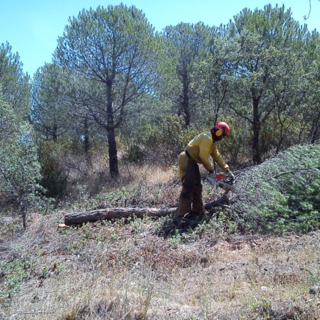 Obra servicio Consultoría de Ingeniería