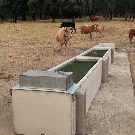 Obra servicio Consultoría de Ingeniería
