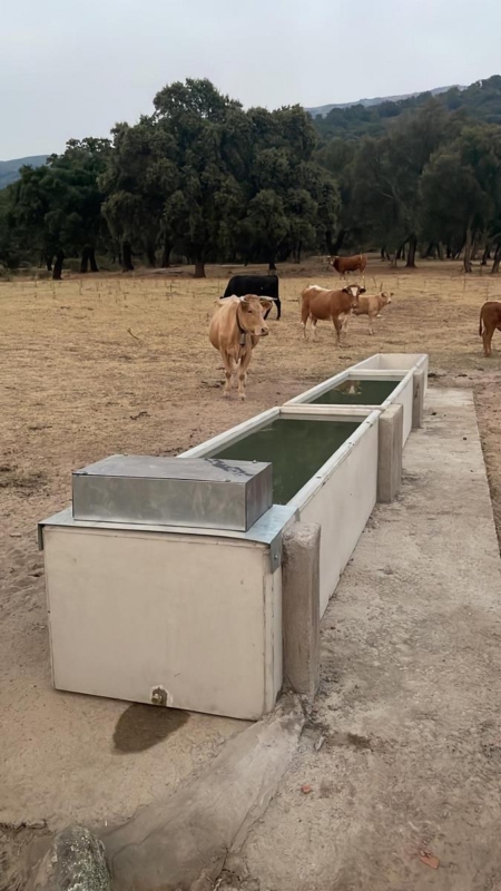 Obra servicio Consultoría de Ingeniería