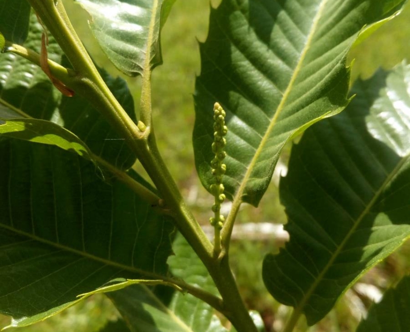 Obra servicio Consultoría de Ingeniería